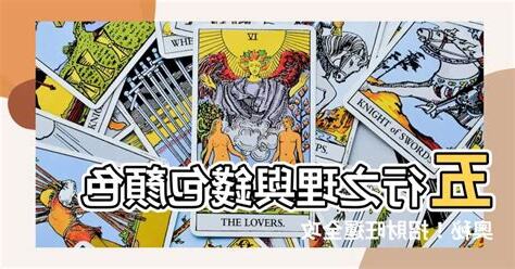 五行 錢包顏色